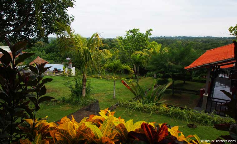 végétation, mer, piscine, Bali