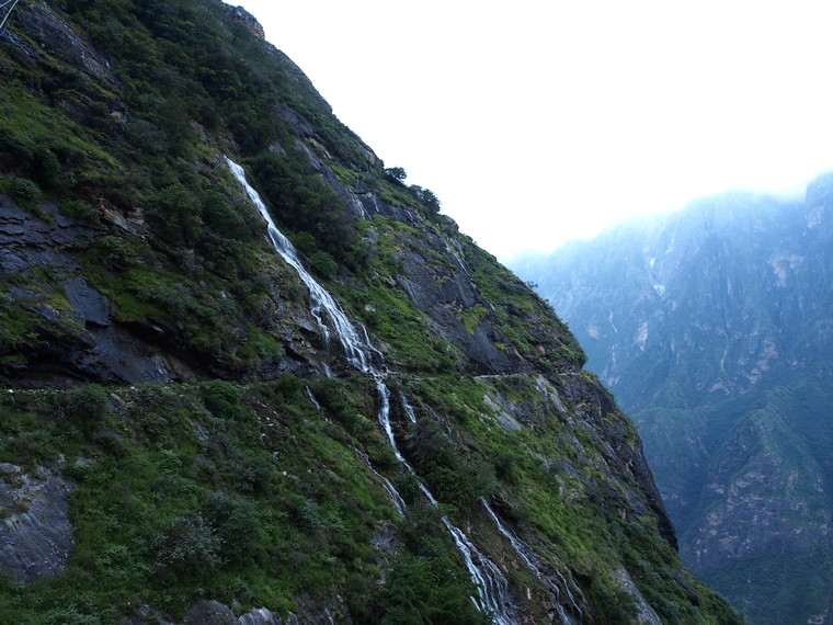 cascade tiger leaping
