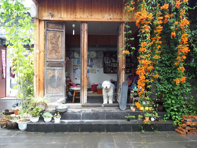 Au lyly's gueshouse il y a notre bobtail préféré !