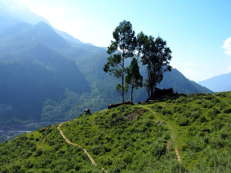 point de vue tiger leaping
