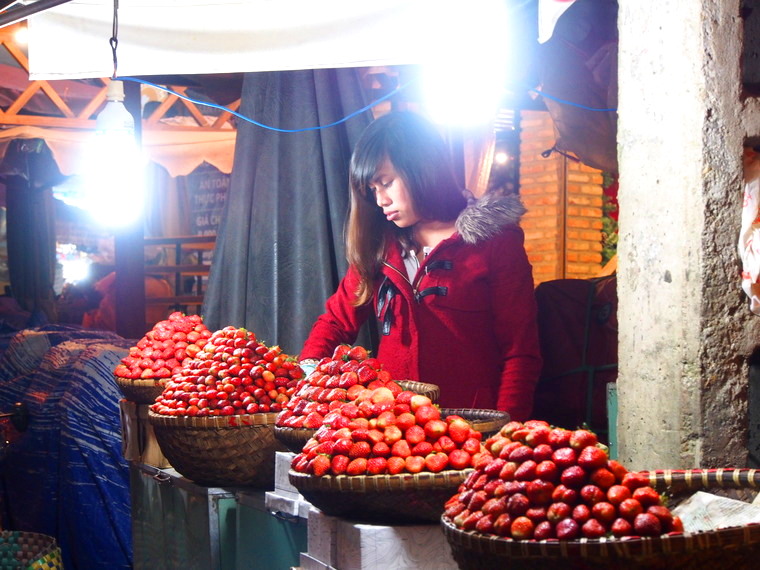 Les fraises de Dalat sont réputées !