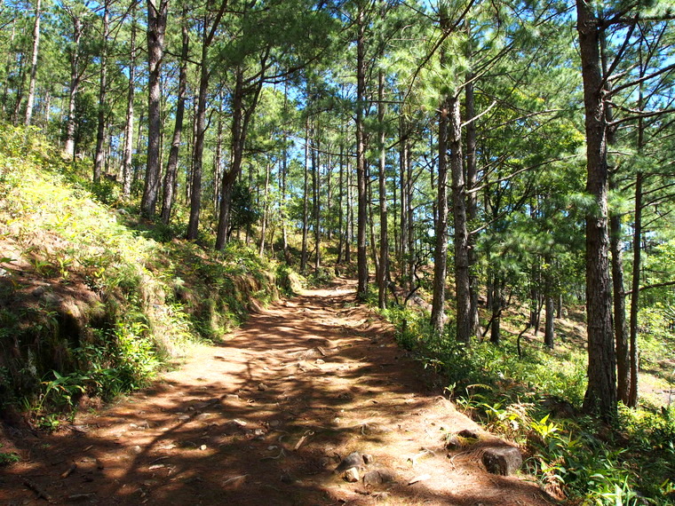 Le chemin qui mène au sommet de Lang Biang