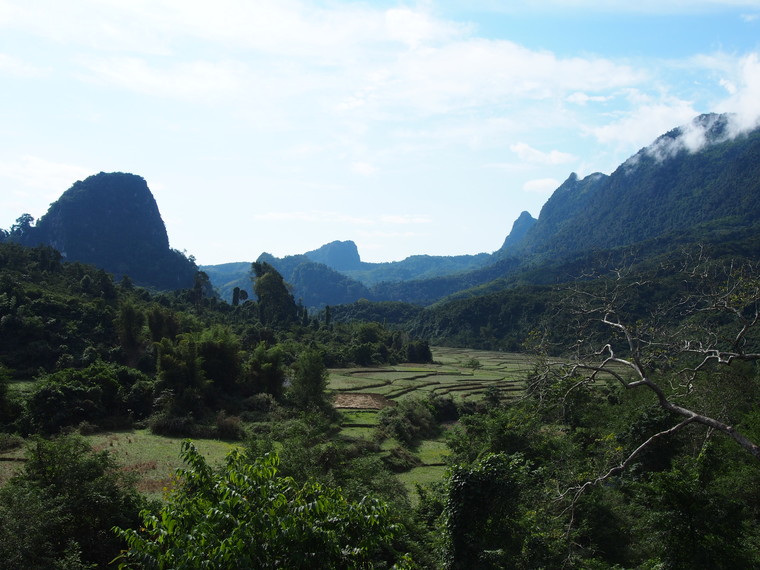 riziere nord laos