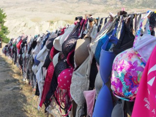 cardrona soutien gorge nz
