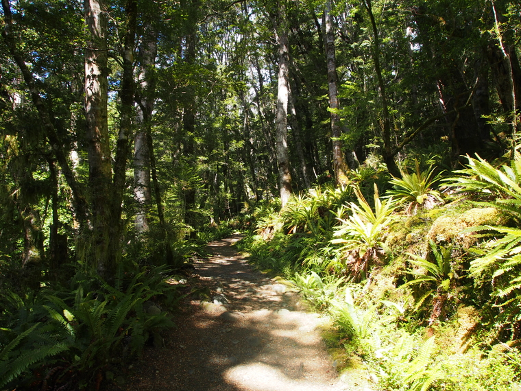 kepler track bush