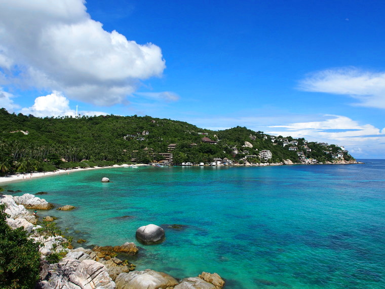 plage shark baykoh tao