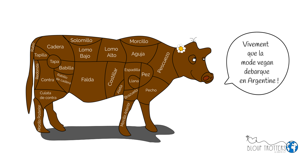 dessin vache viande argentine bloup trotters