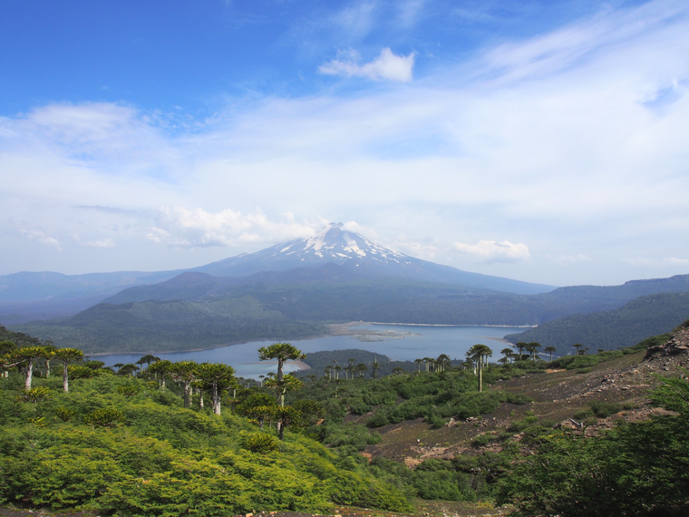 volcan-llaima-conguillo-chili