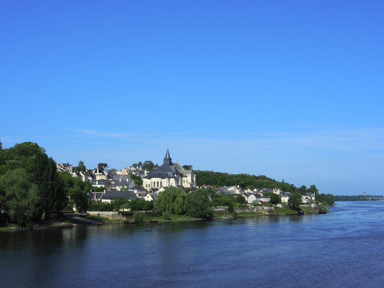 loire candes saint martin