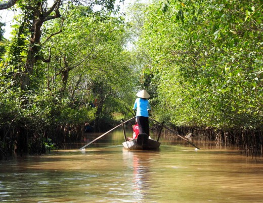 boat mekong delta vietnam