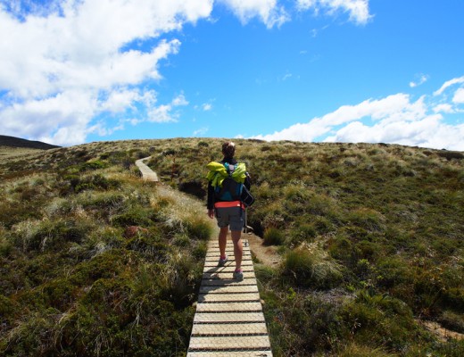 kepler track nz